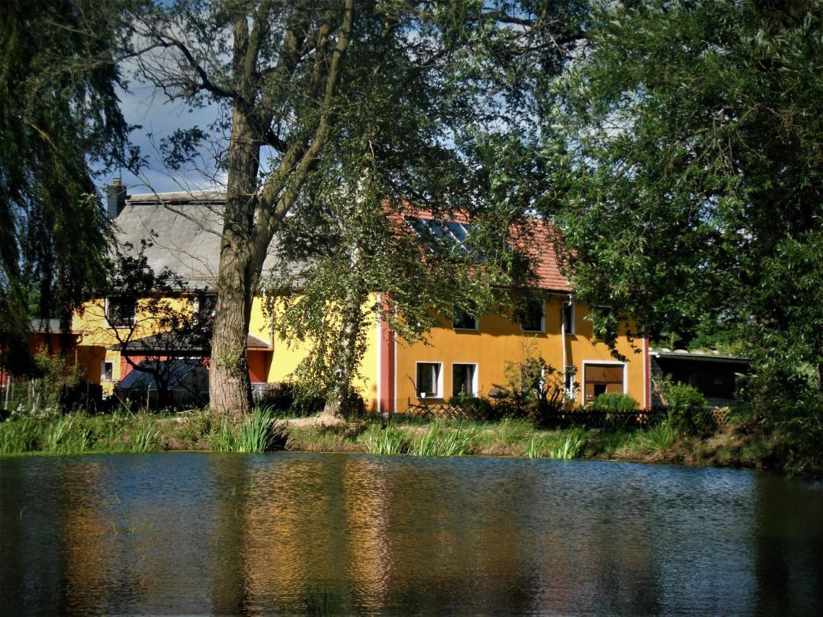 Ferienhof Im Gruenen Herzen Dittersdorf Экстерьер фото