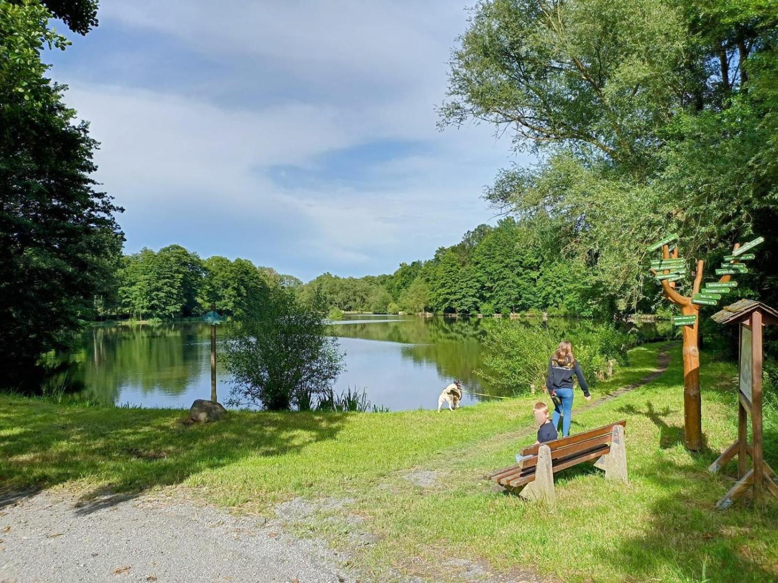 Ferienhof Im Gruenen Herzen Dittersdorf Экстерьер фото